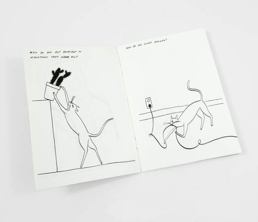 Routine Questions for the Cat zine