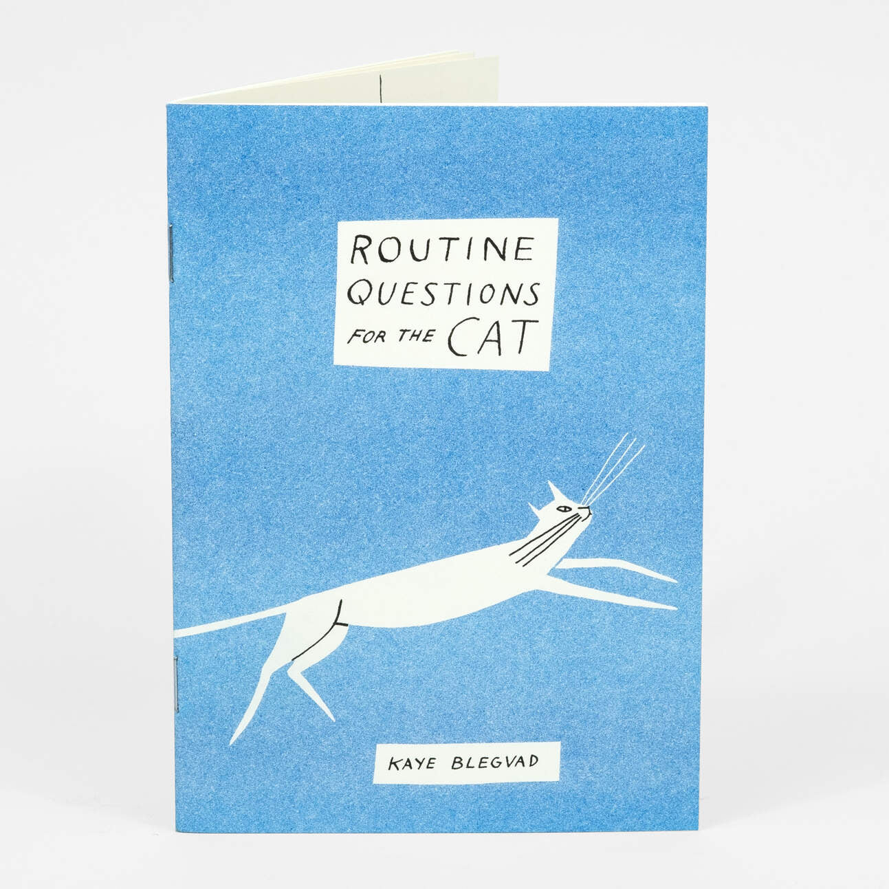 Routine Questions for the Cat zine