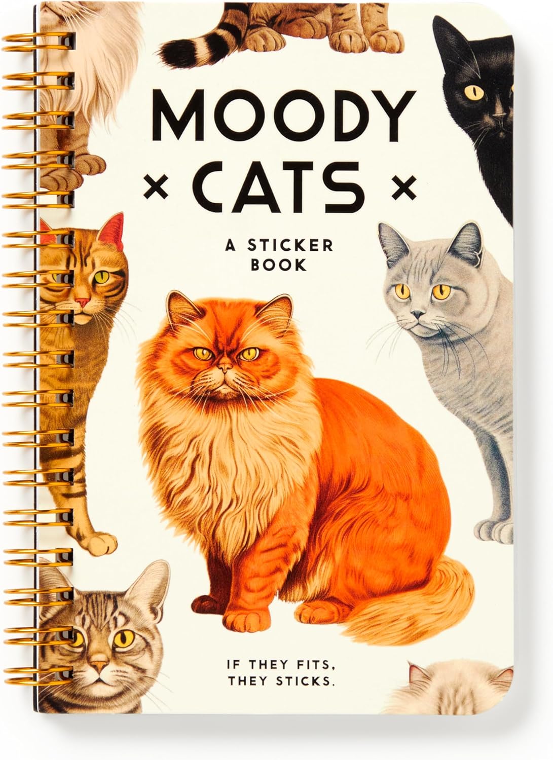 Moody Cats Sticker Book