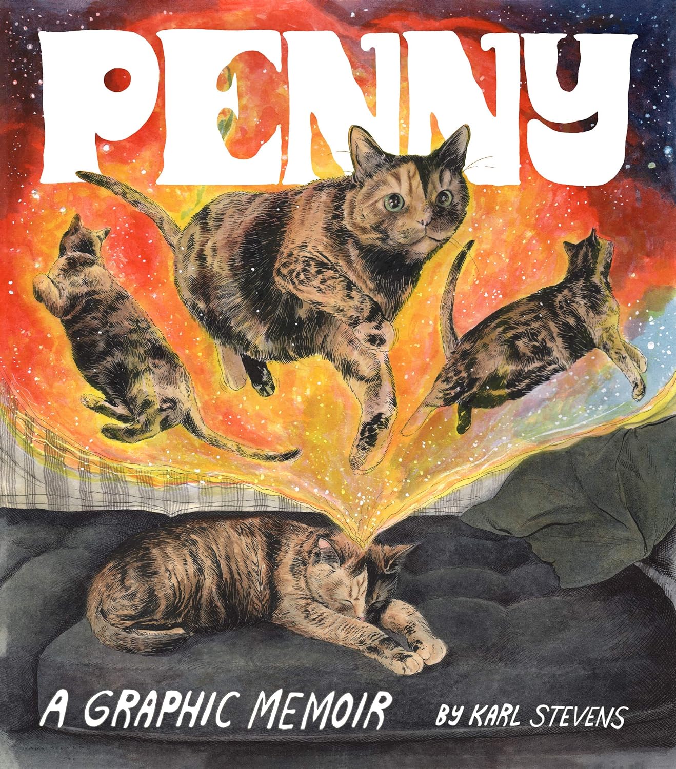 Penny: A Graphic Memoir