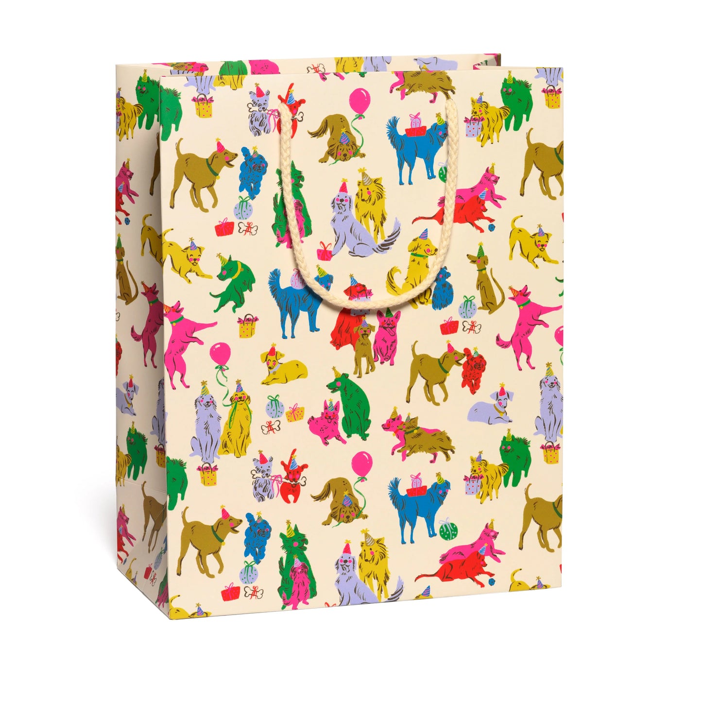 Large Gift Bag