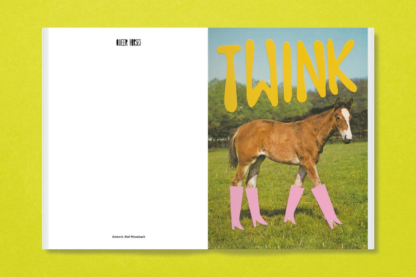 Queer Horses Postcard Book