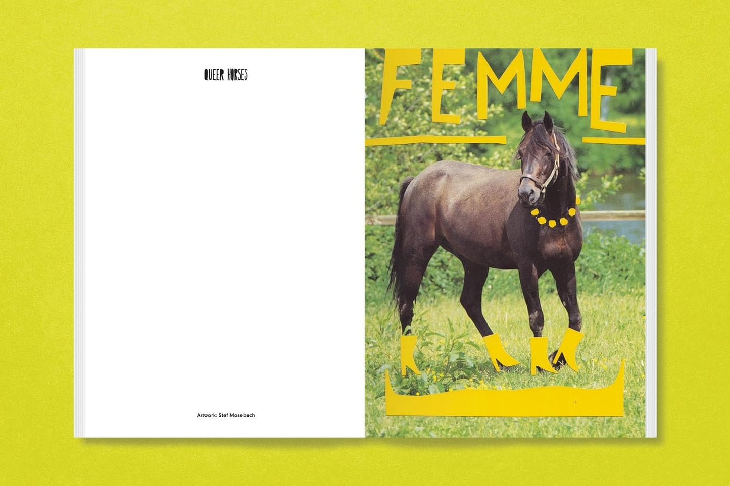 Queer Horses Postcard Book