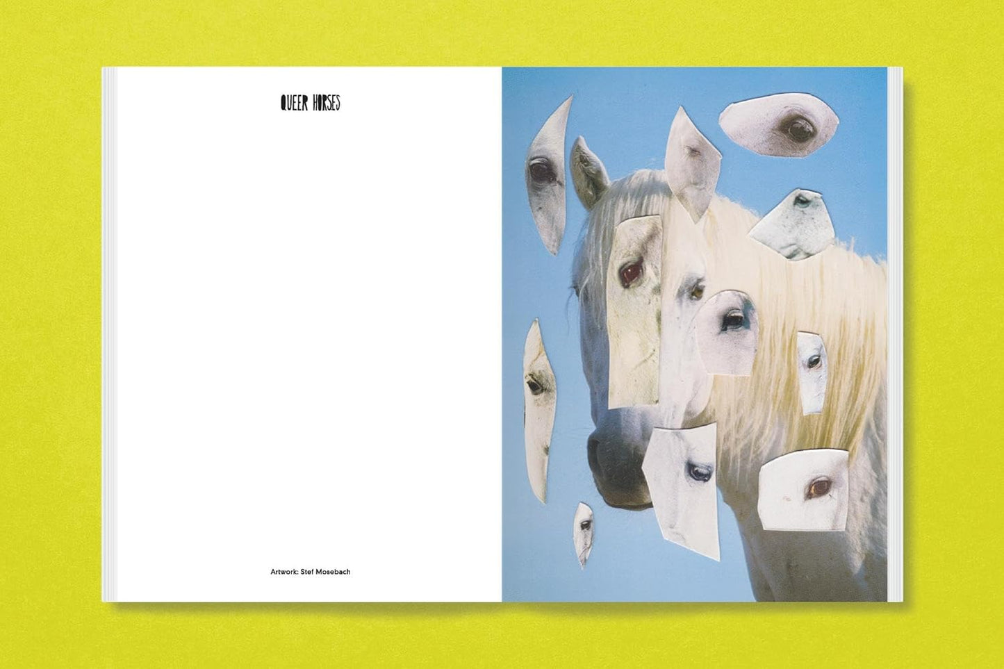 Queer Horses Postcard Book