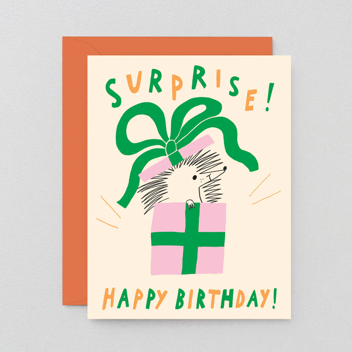 Birthday Surprise Hedgehog card
