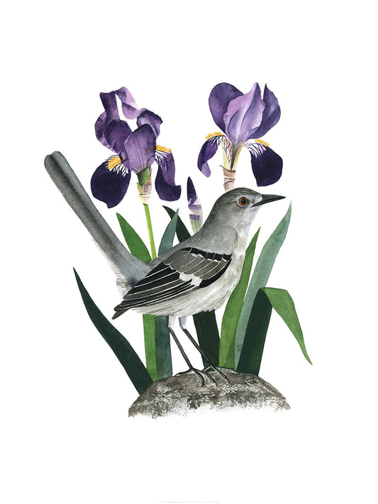 Tennessee Mockingbird Print