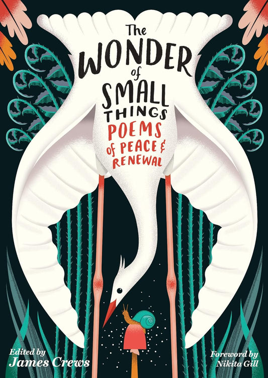 The Wonder of Small Things Book