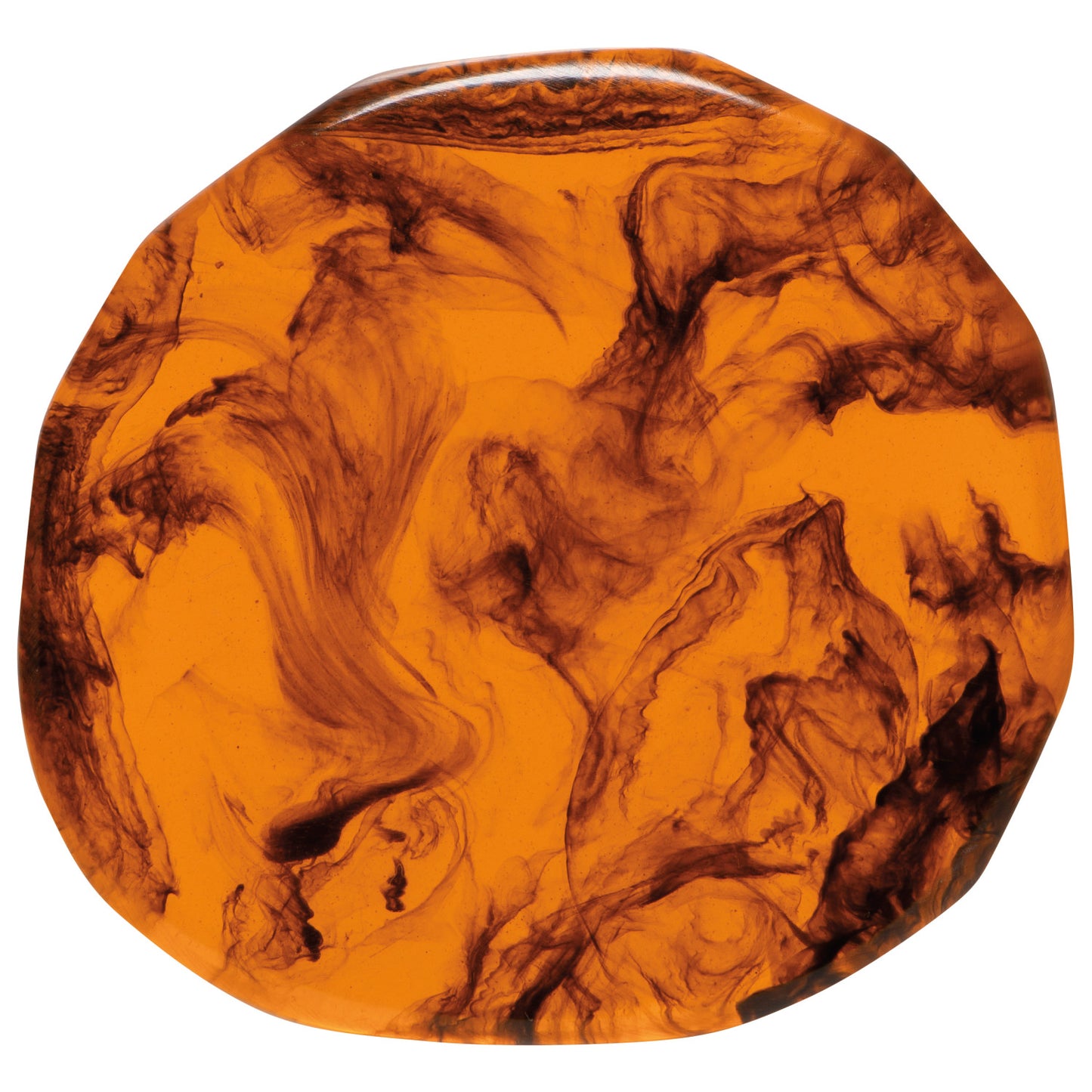 Tortoise Shell Resin Coaster Set