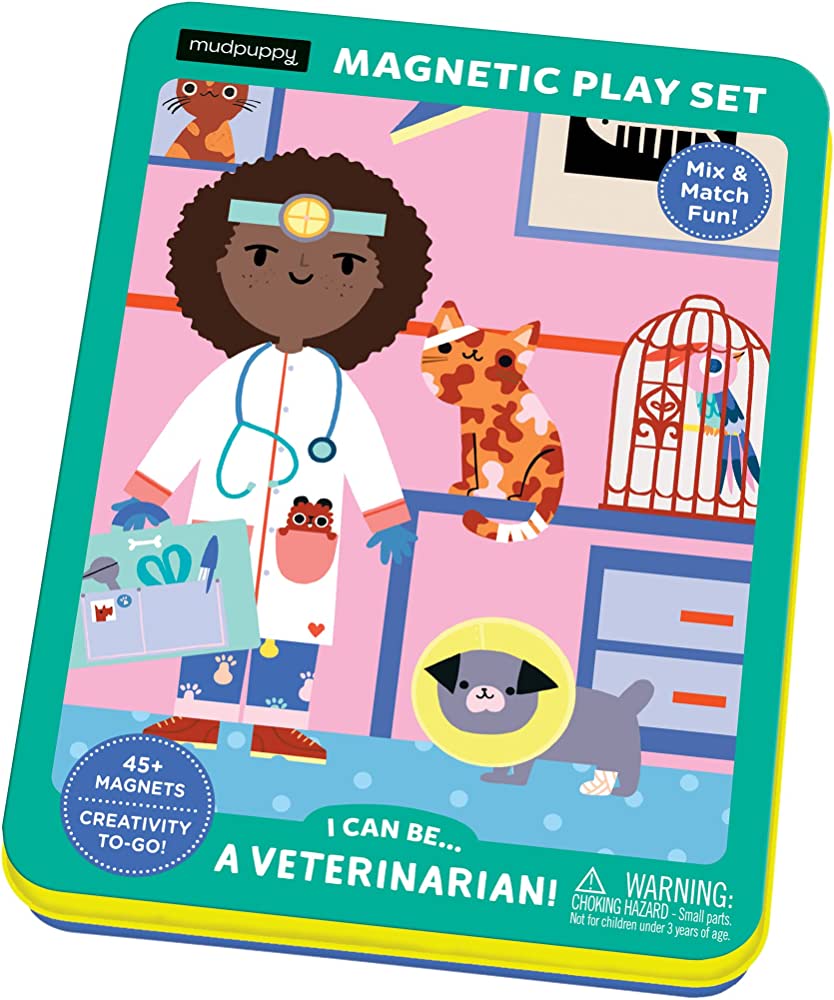 Veterinarian Magnetic Play Set