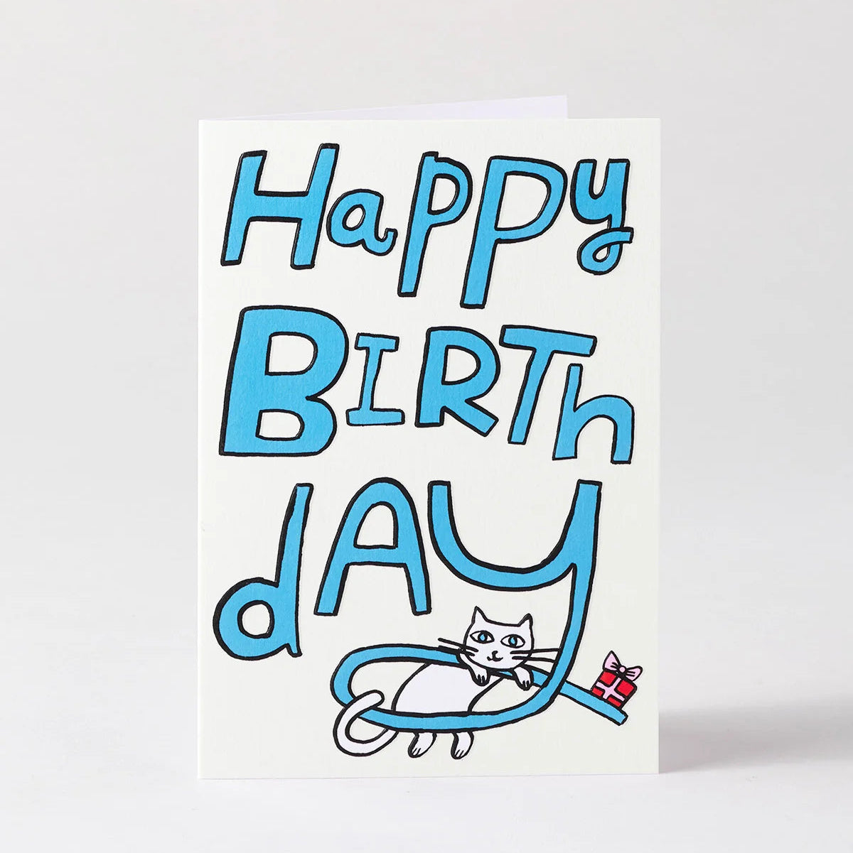 Birthday Cat & Present Card