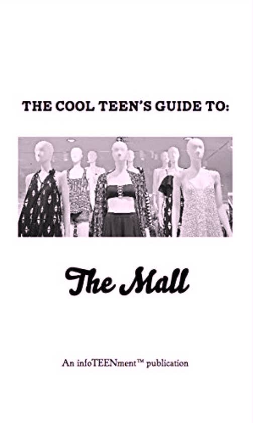 The Cool Teen's Guide To The Mall zine