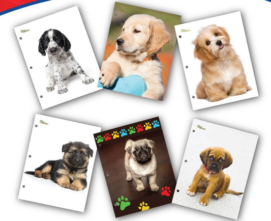 Puppies - School 2 Pocket Folder