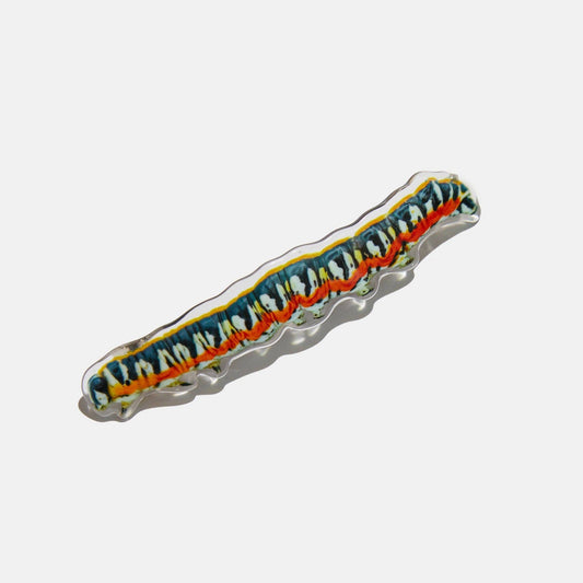 Caterpillar Hair Clip