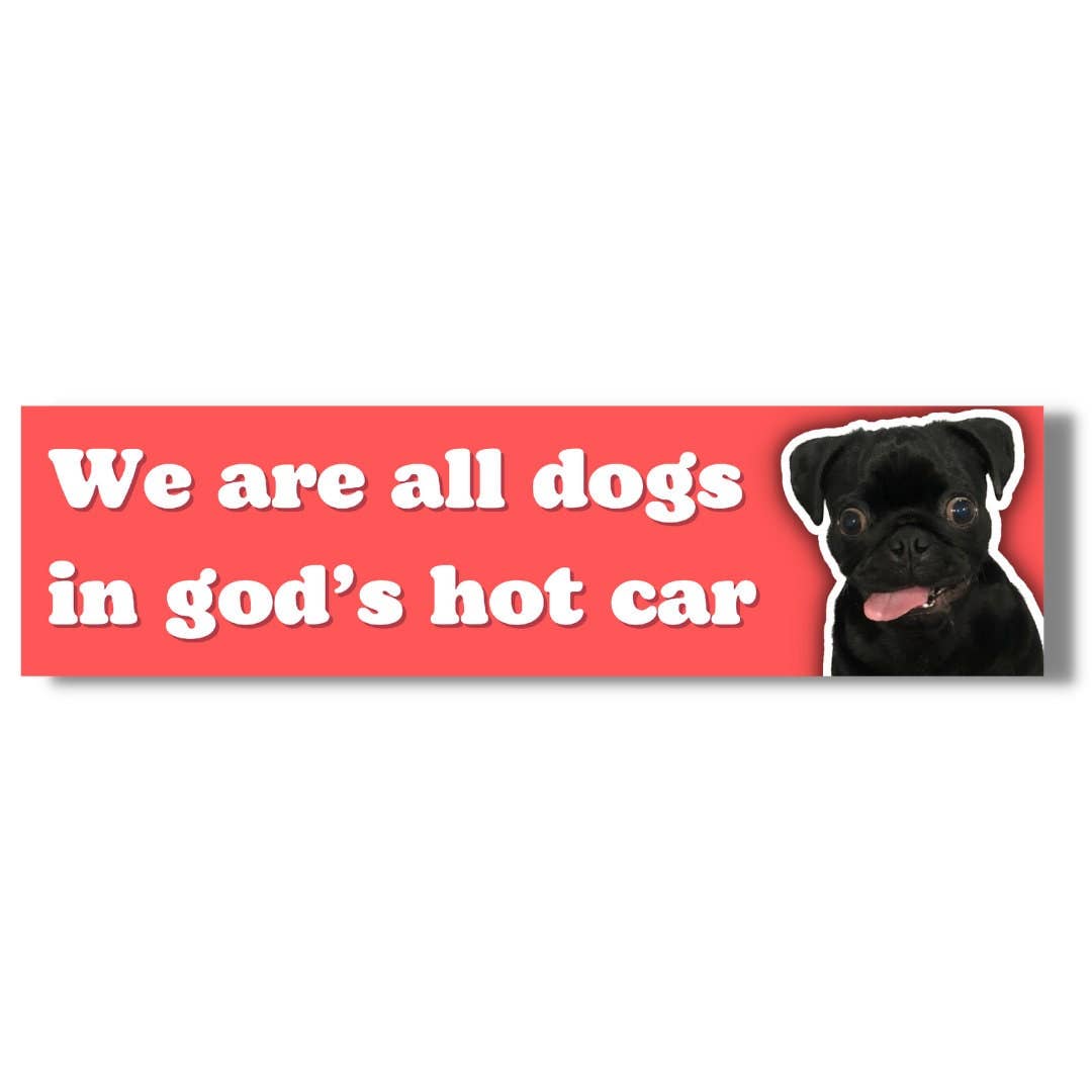 We Are All Dogs In God’s Hot Car Bumper Sticker