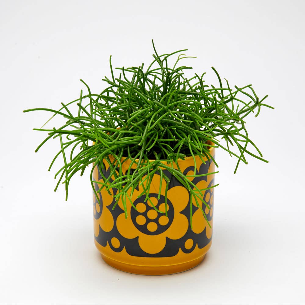 Geo Flower Yellow Plant Pot