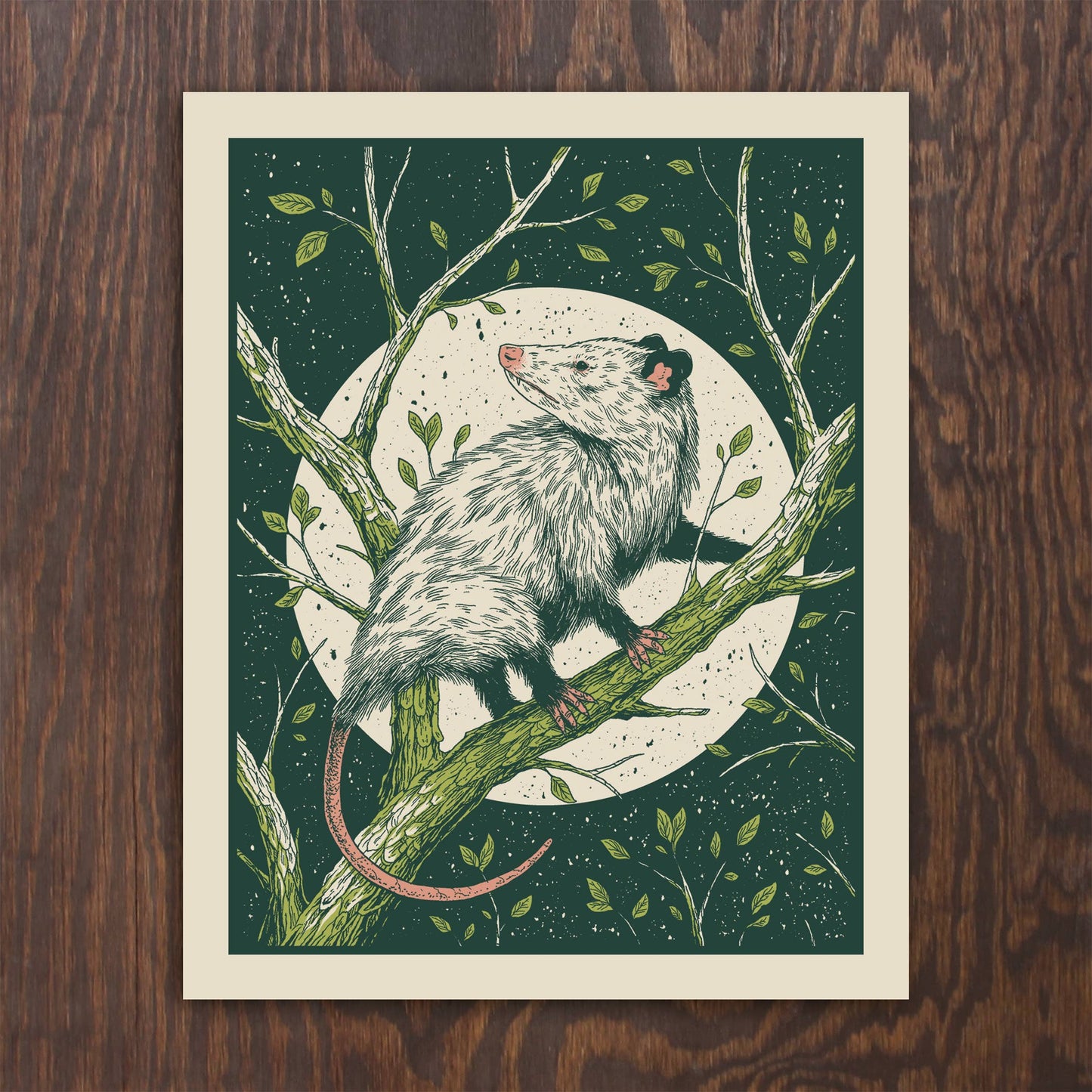 Opossum Print 8x10"