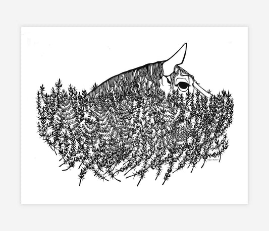 Horse in Gorse on Ty Canol print