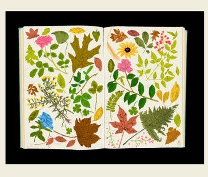Pressed Botanicals print