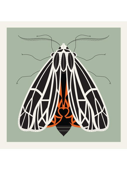 Tiger Moth print